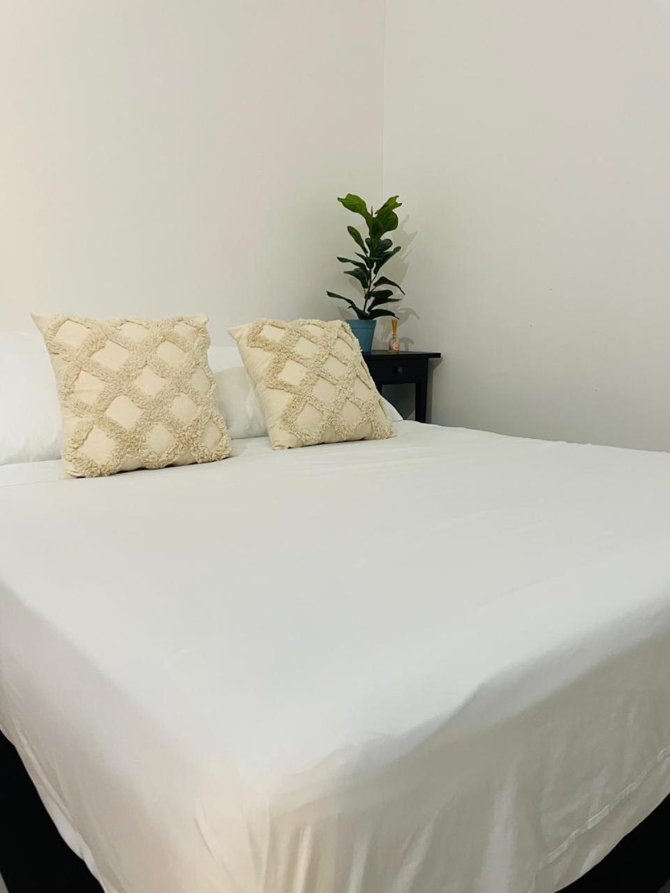 Hostal 1545 Ríohacha Стая снимка